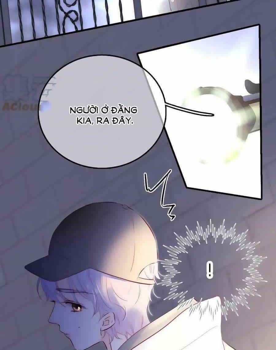 Hoa Bỏ Chạy Với Nhím Rồi - Chương 90 - ảnh 61