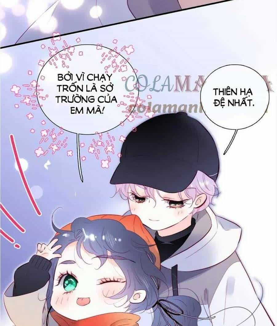 Hoa Bỏ Chạy Với Nhím Rồi - Chương 91 - ảnh 8