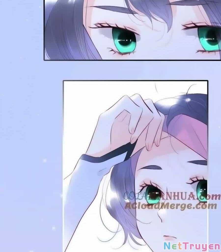 Hoa Bỏ Chạy Với Nhím Rồi - Chương 97 - ảnh 40