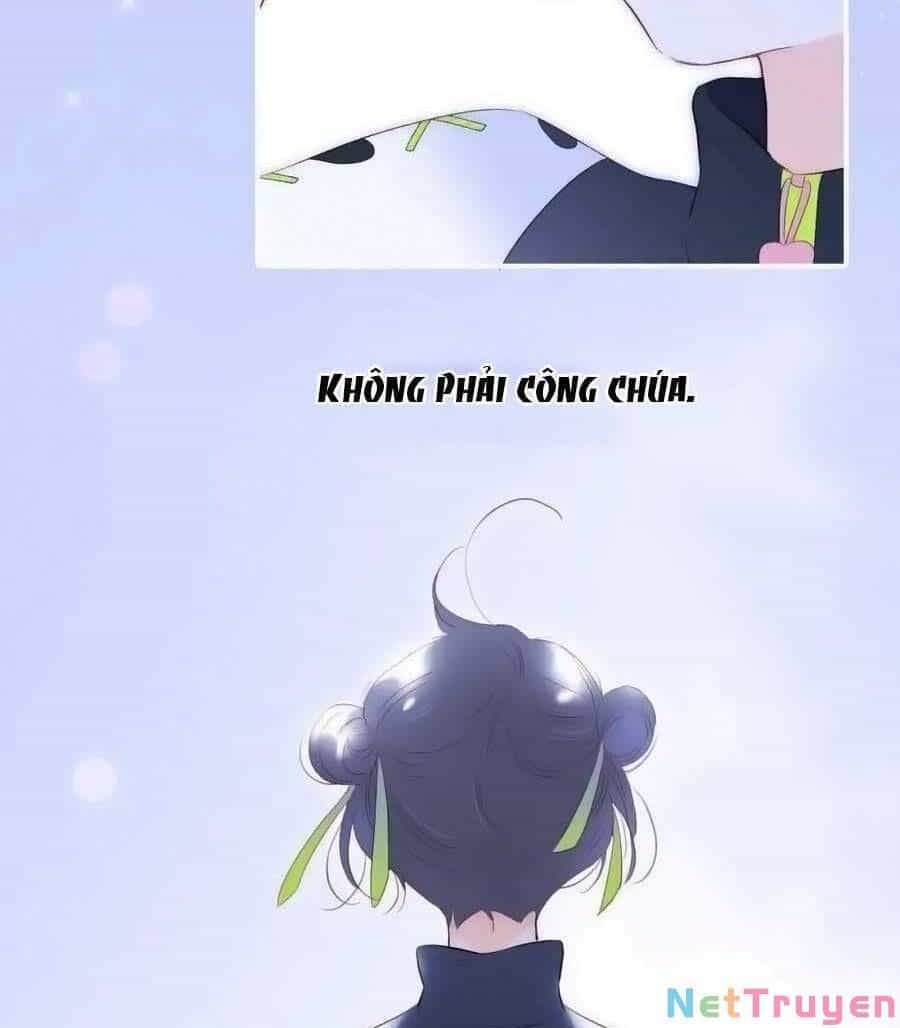 Hoa Bỏ Chạy Với Nhím Rồi - Chương 97 - ảnh 41