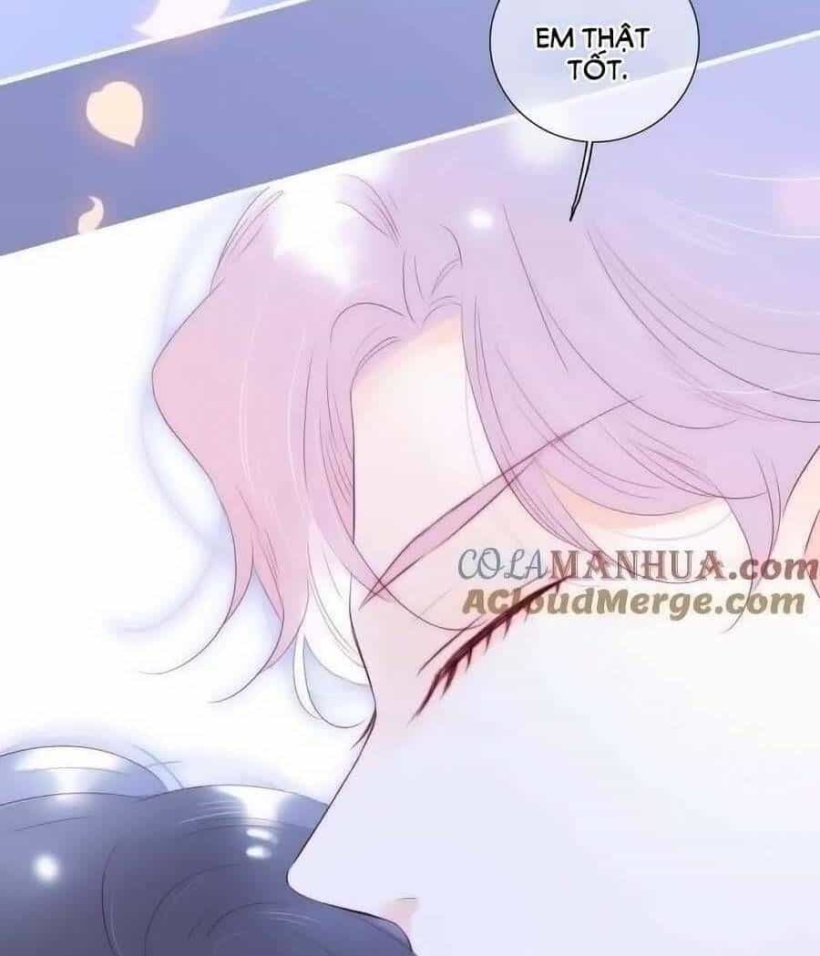 Hoa Bỏ Chạy Với Nhím Rồi - Chương 98 - ảnh 26