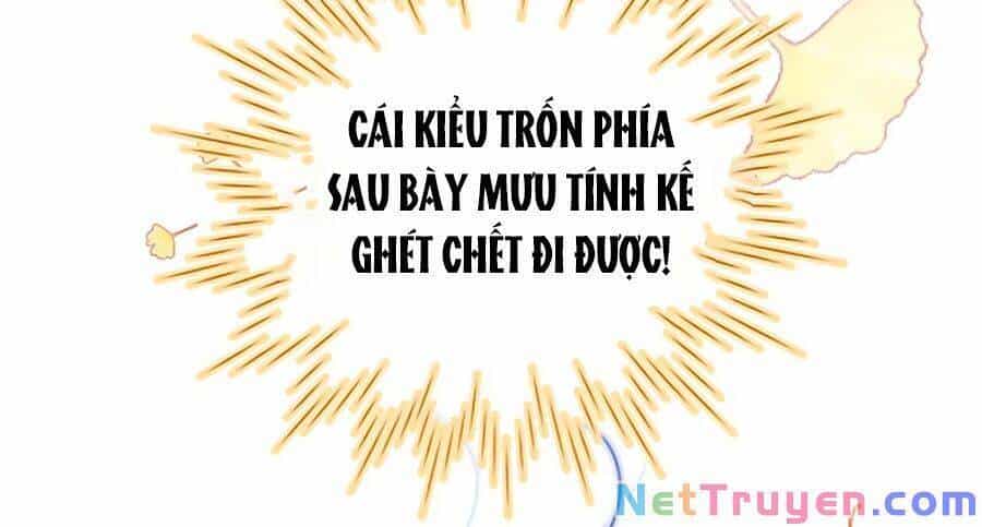 Hoa Bỏ Chạy Với Nhím Rồi - Chương 24 - ảnh 21