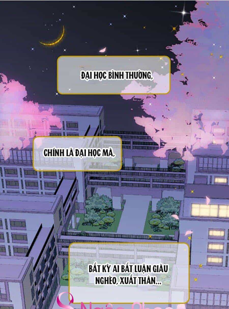 Hoa Bỏ Chạy Với Nhím Rồi - Chương 2 - ảnh 1