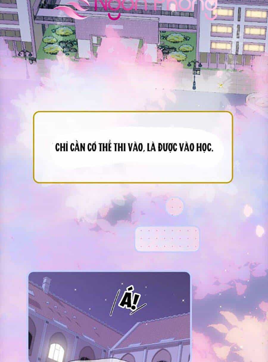 Hoa Bỏ Chạy Với Nhím Rồi - Chương 2 - ảnh 2