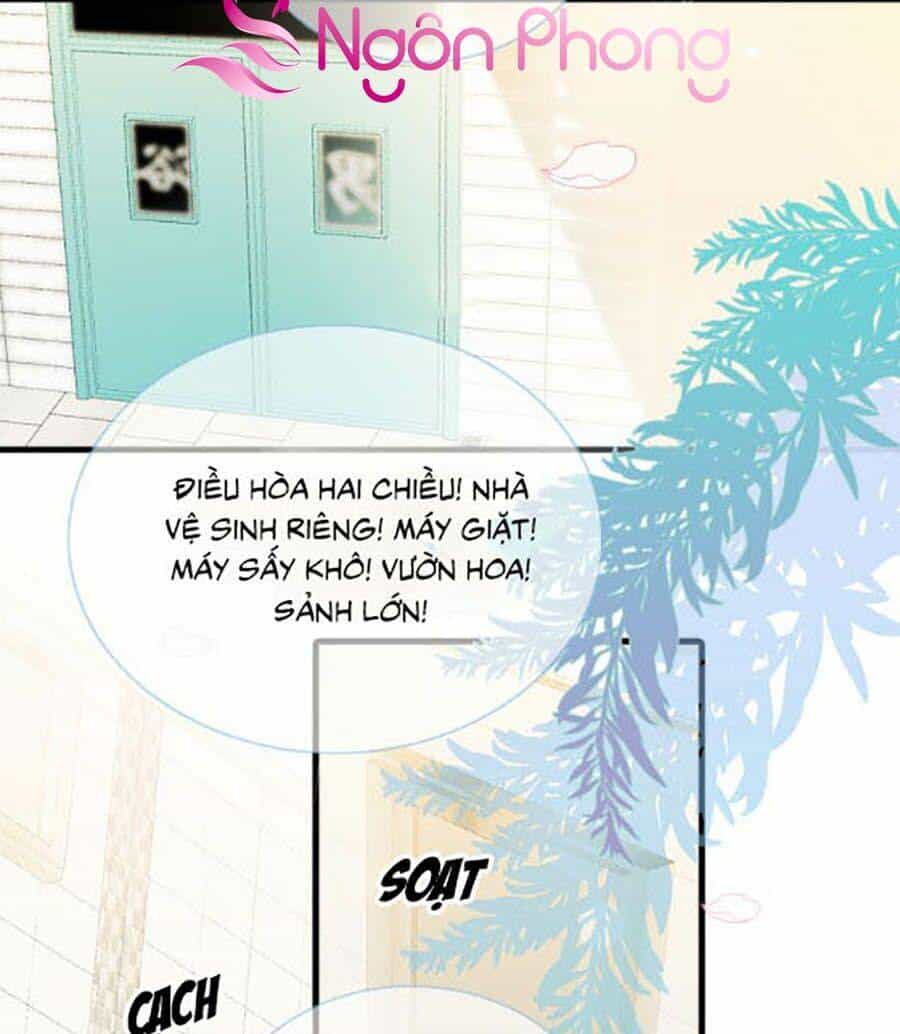 Hoa Bỏ Chạy Với Nhím Rồi - Chương 2 - ảnh 40