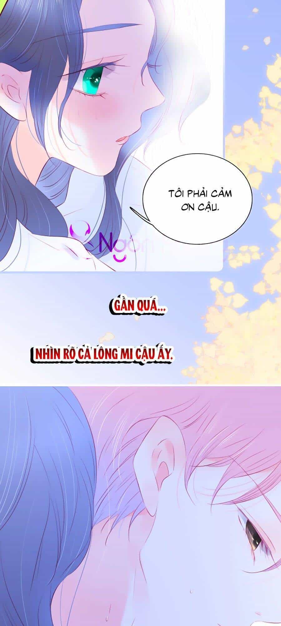 Hoa Bỏ Chạy Với Nhím Rồi - Chương 28 - ảnh 10