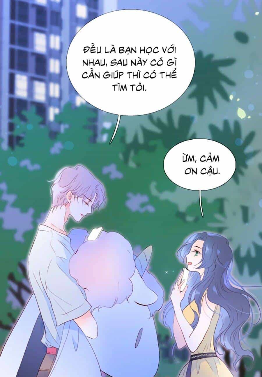 Hoa Bỏ Chạy Với Nhím Rồi - Chương 4 - ảnh 18
