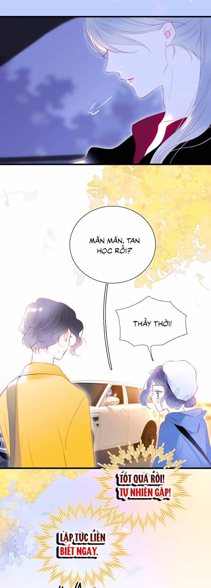 Hoa Bỏ Chạy Với Nhím Rồi - Chương 41 - ảnh 13