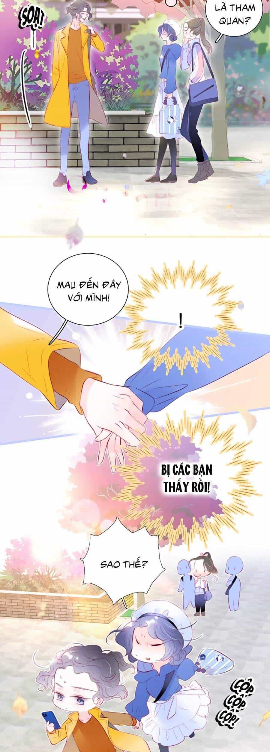 Hoa Bỏ Chạy Với Nhím Rồi - Chương 41 - ảnh 8