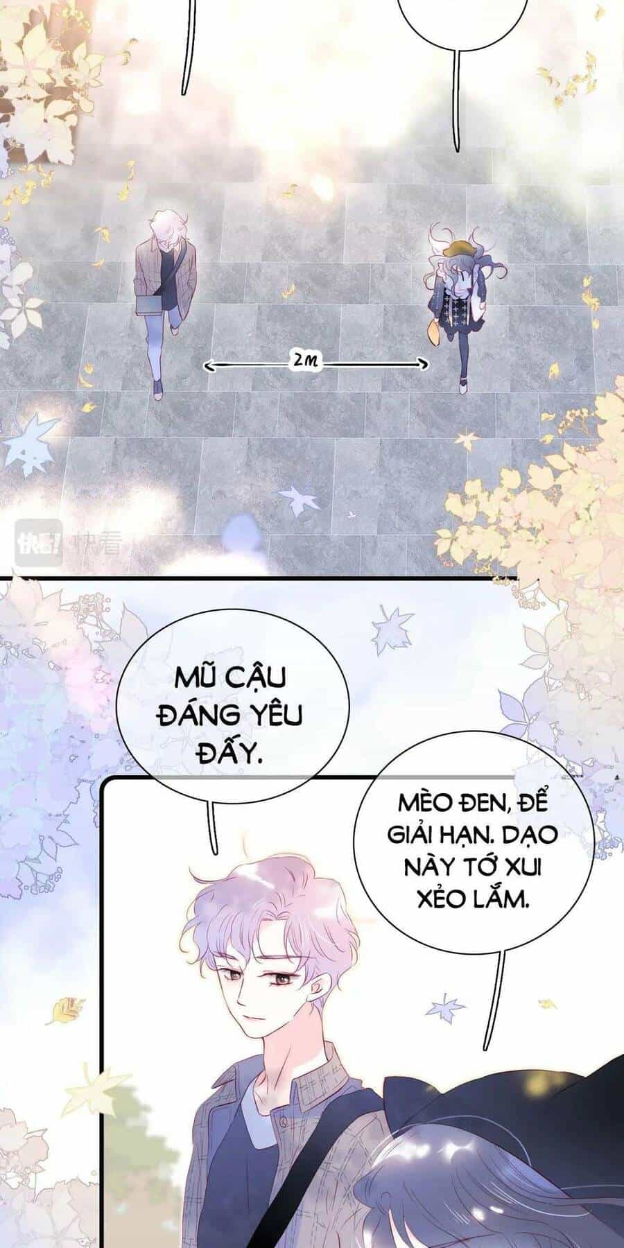 Hoa Bỏ Chạy Với Nhím Rồi - Chương 47 - ảnh 4