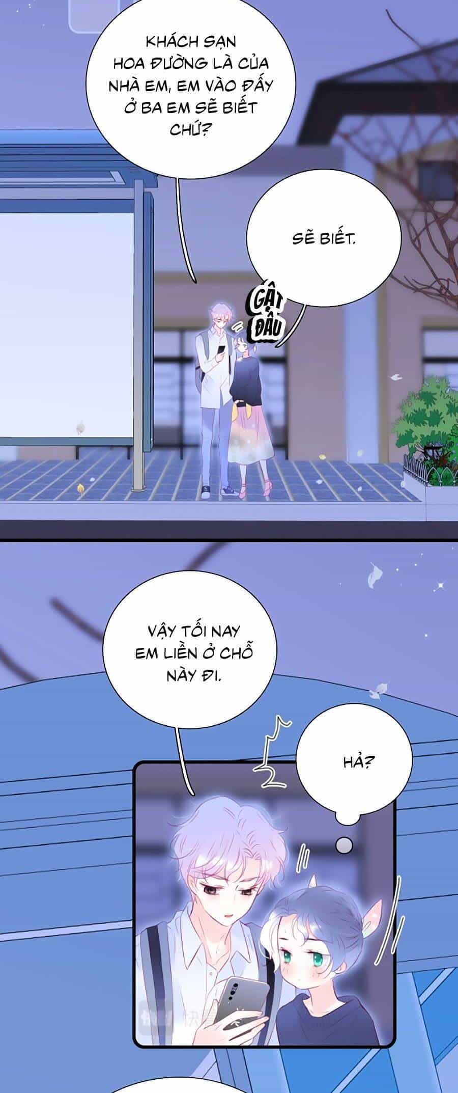 Hoa Bỏ Chạy Với Nhím Rồi - Chương 51 - ảnh 13