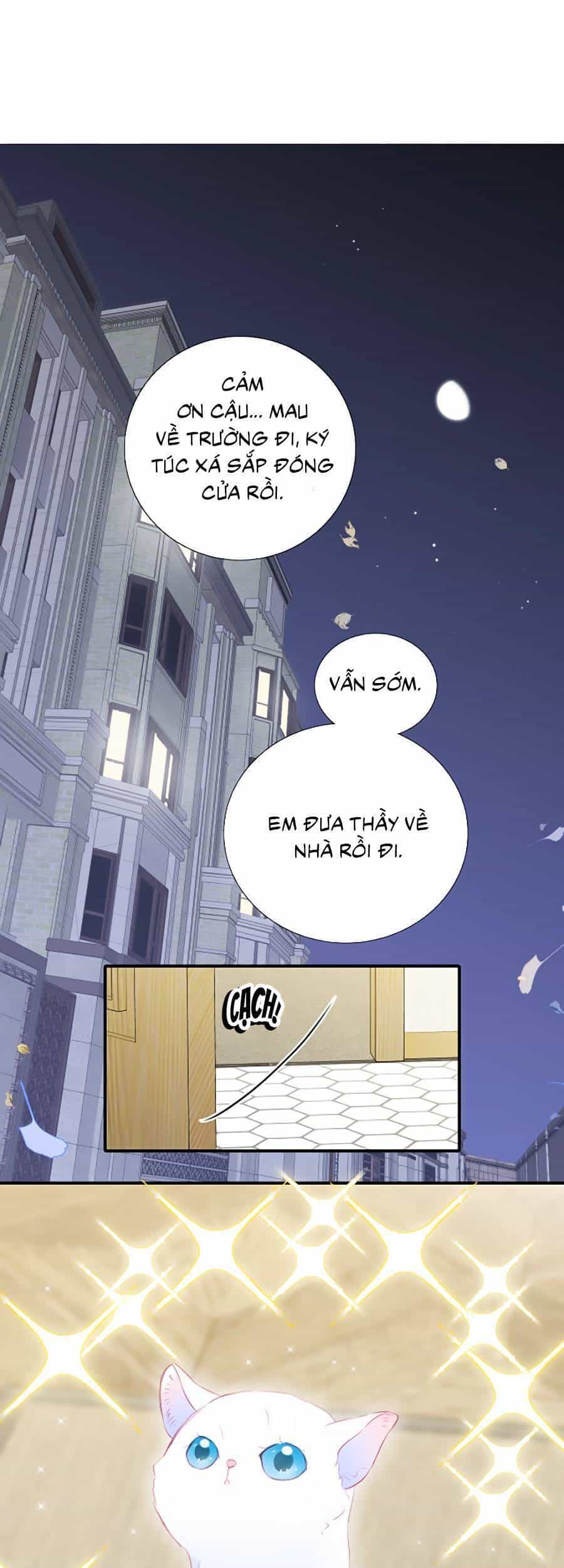 Hoa Bỏ Chạy Với Nhím Rồi - Chương 58 - ảnh 2