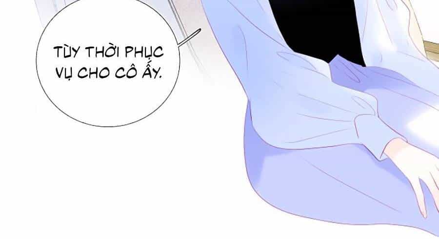 Hoa Bỏ Chạy Với Nhím Rồi - Chương 66 - ảnh 16