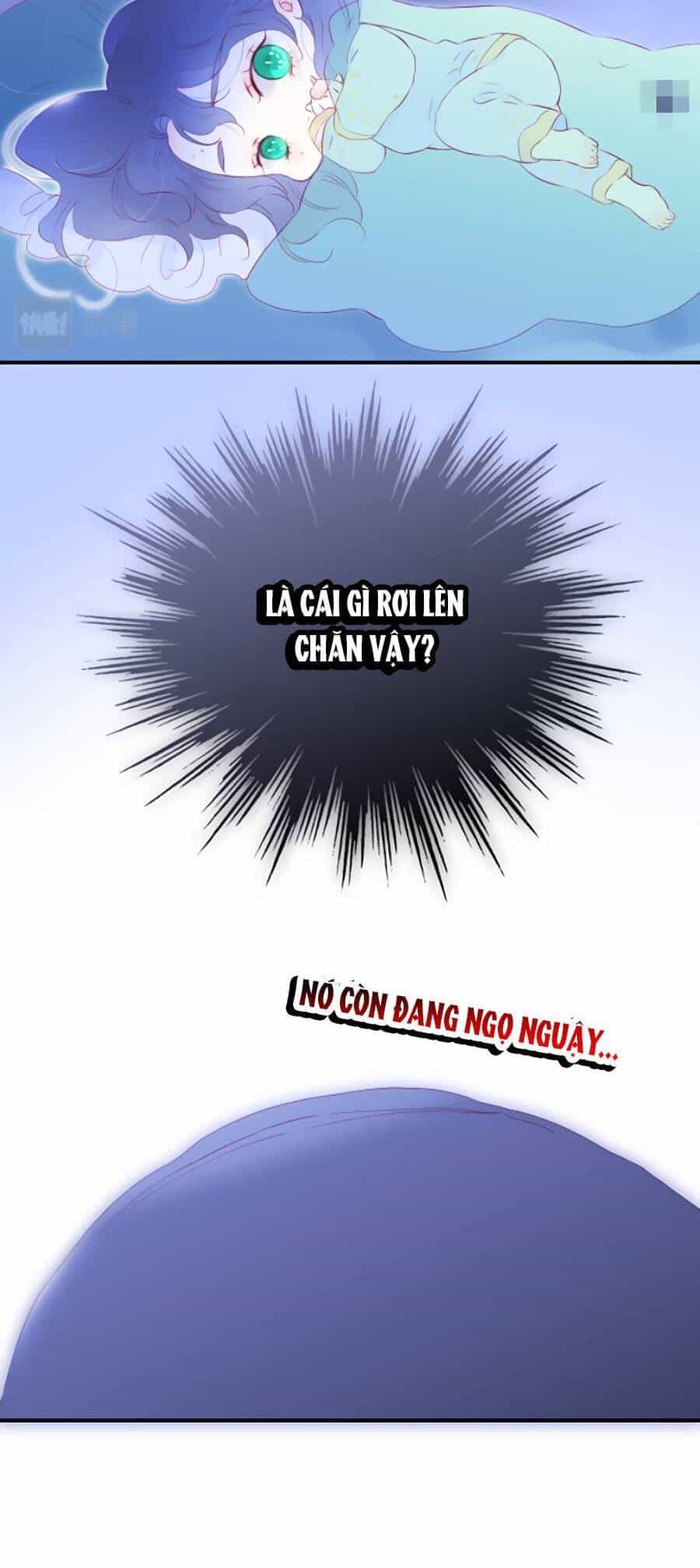 Hoa Bỏ Chạy Với Nhím Rồi - Chương 67 - ảnh 33