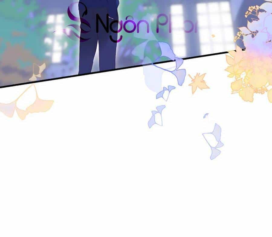 Hoa Bỏ Chạy Với Nhím Rồi - Chương 72 - ảnh 31