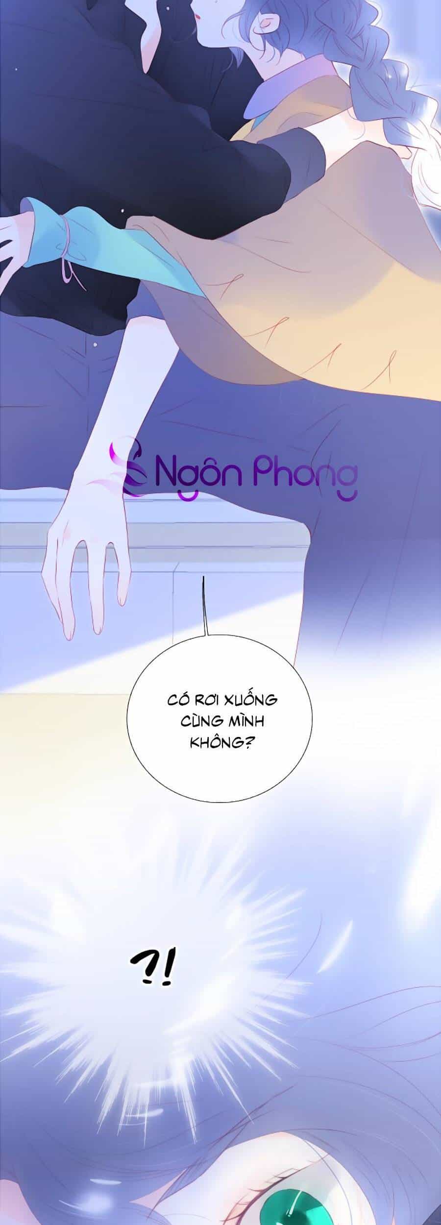 Hoa Bỏ Chạy Với Nhím Rồi - Chương 75 - ảnh 29