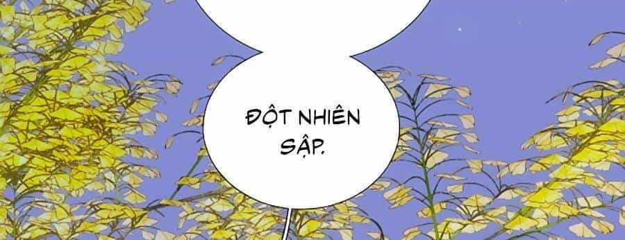 Hoa Bỏ Chạy Với Nhím Rồi - Chương 76 - ảnh 11