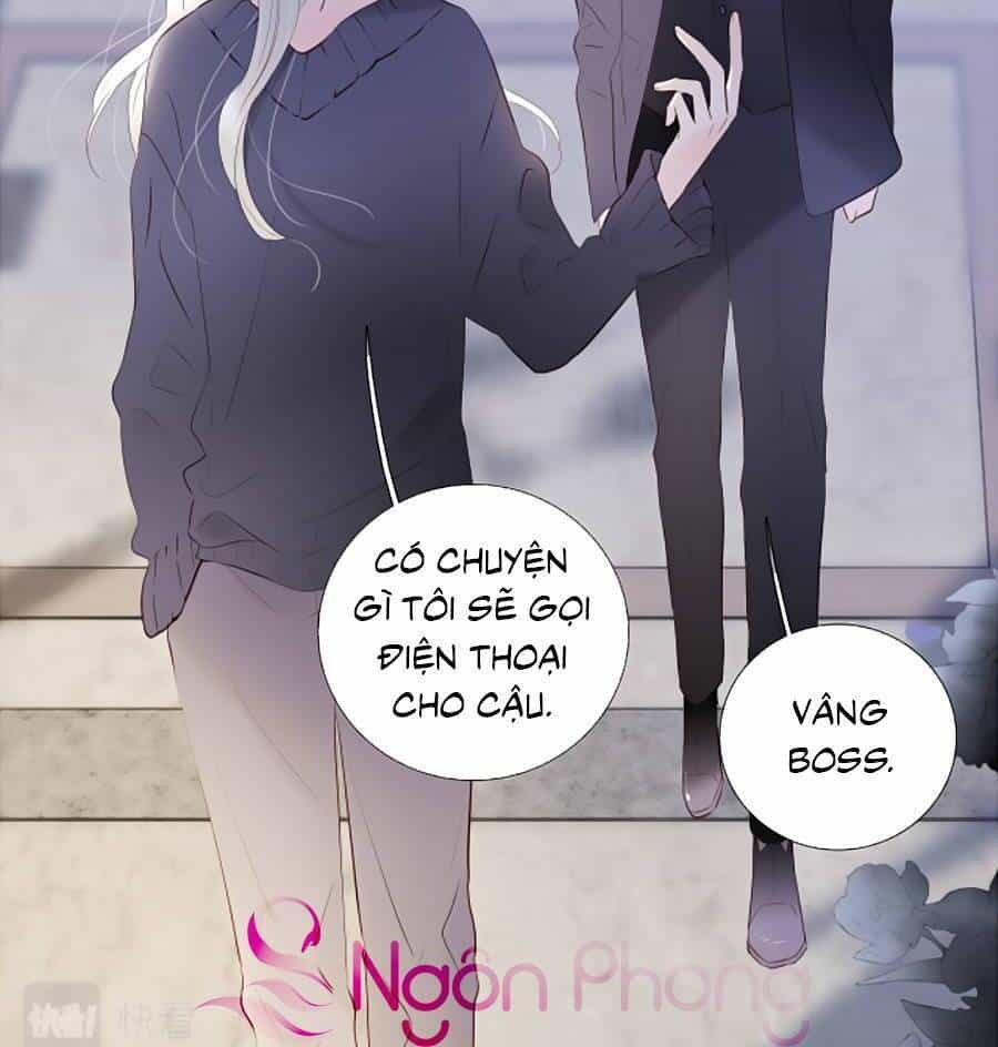 Hoa Bỏ Chạy Với Nhím Rồi - Chương 80 - ảnh 4