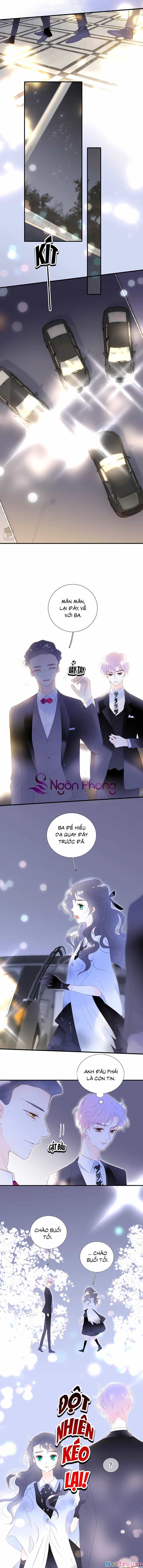 Hoa Bỏ Chạy Với Nhím Rồi - Chương 83 - ảnh 6