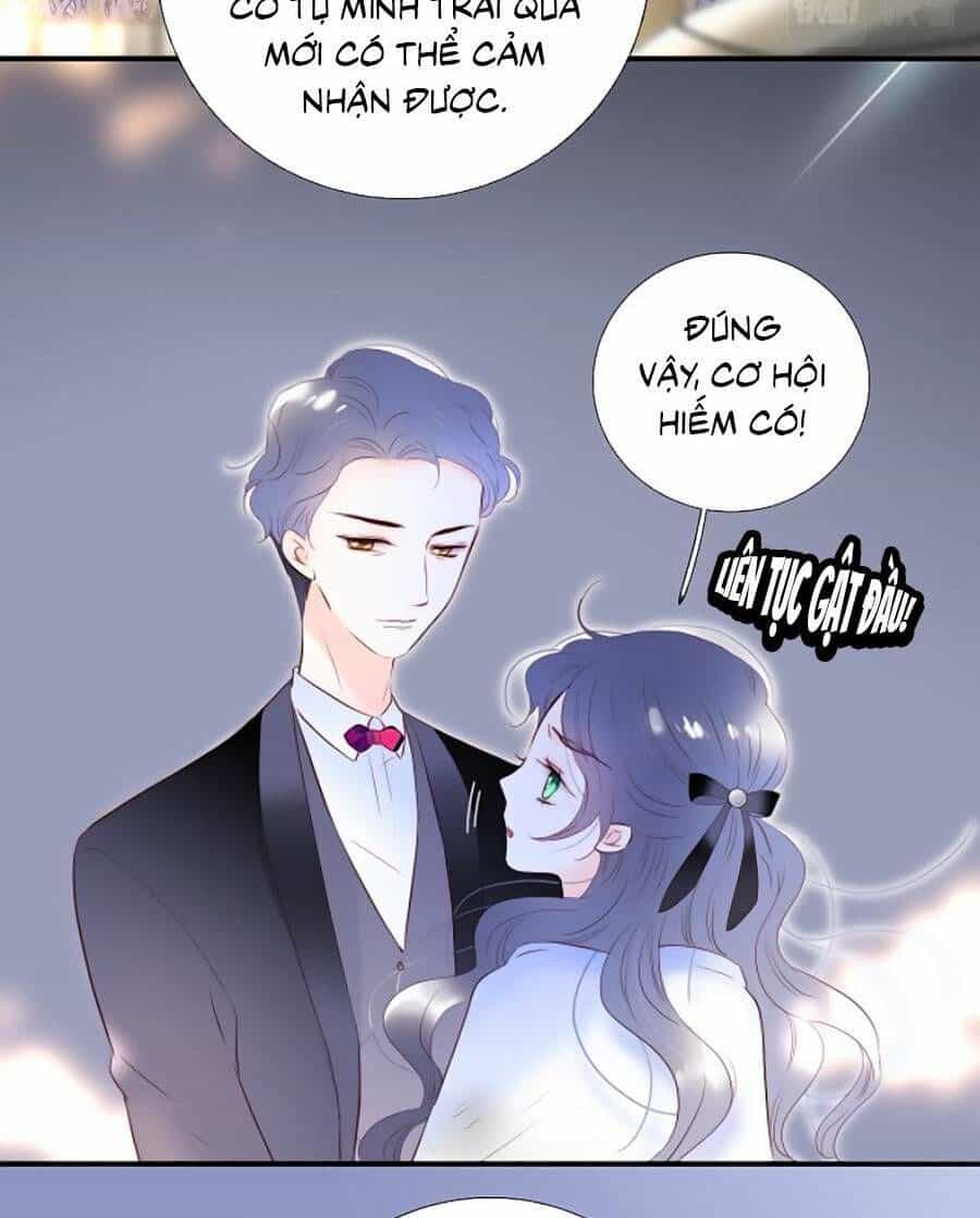 Hoa Bỏ Chạy Với Nhím Rồi - Chương 84 - ảnh 11