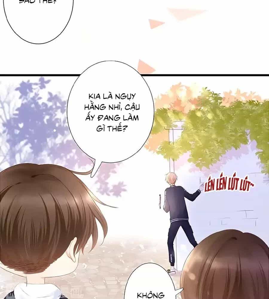 Hoa Chưa Nở Rộ - Chương 19 - ảnh 6