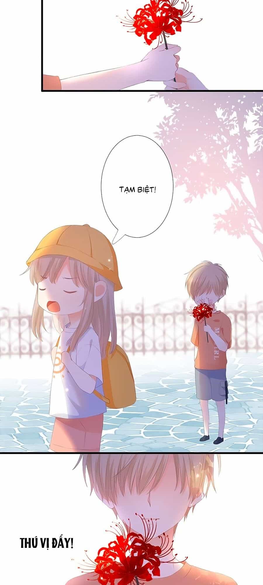 Hoa Chưa Nở Rộ - Chương 39.6 - ảnh 23
