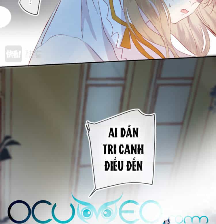 Hoa Dữ Ẩn Nặc Chi Ô - Chương 117 - ảnh 11