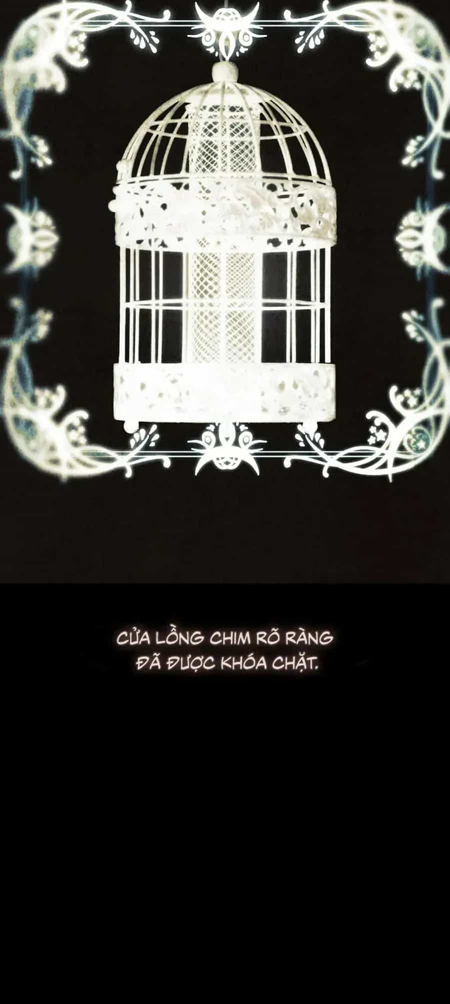 Hoa Giương Kiếm - Chương 51 - ảnh 18
