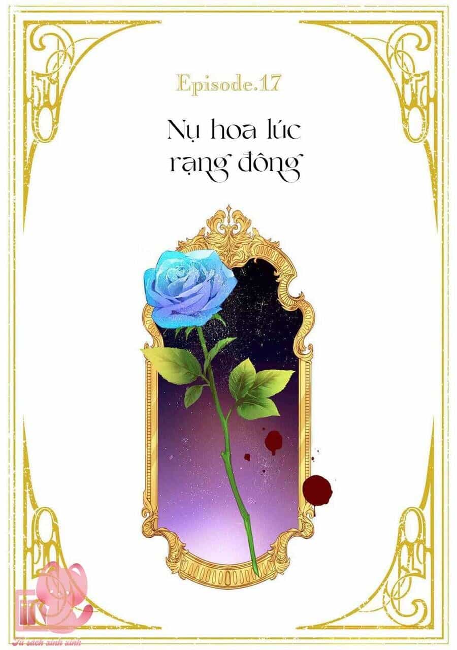 Hoa Hồng Ẩn Giấu Sao Băng - Chương 17 - ảnh 2