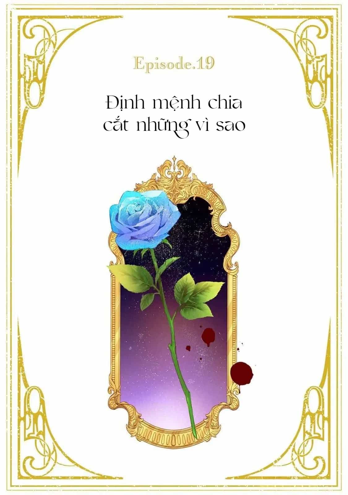 Hoa Hồng Ẩn Giấu Sao Băng - Chương 19 - ảnh 3