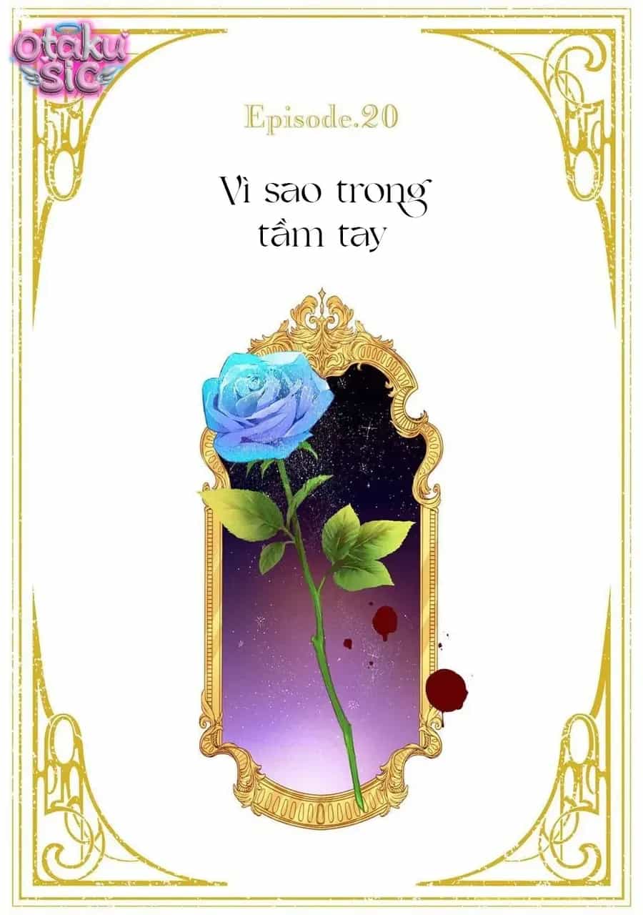 Hoa Hồng Ẩn Giấu Sao Băng - Chương 20 - ảnh 3