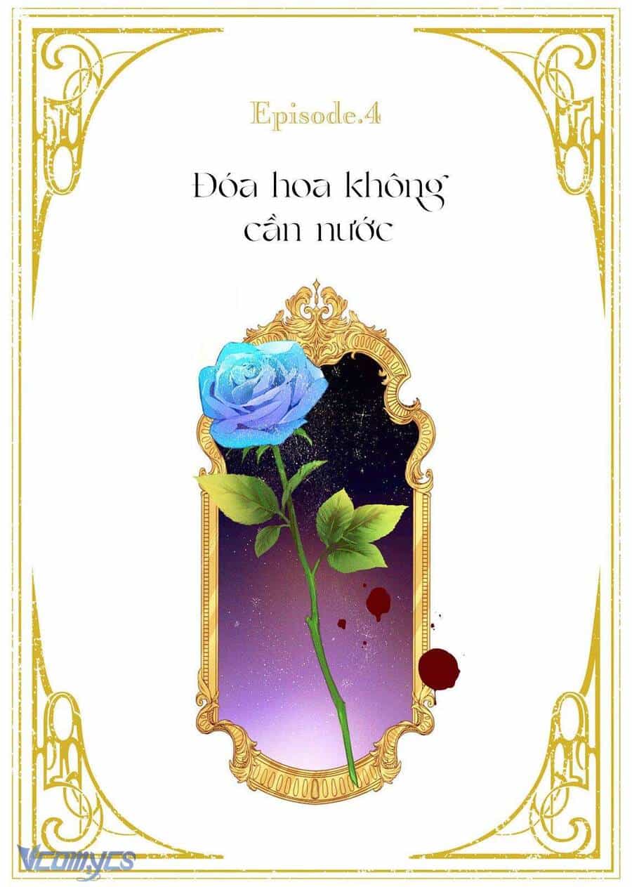 Hoa Hồng Ẩn Giấu Sao Băng - Chương 4 - ảnh 2