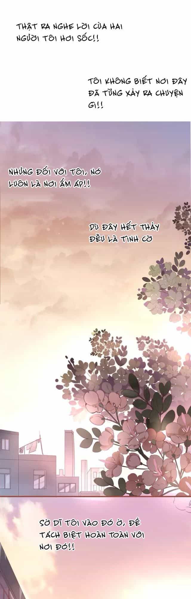 Hoa Hồng Trên Gai - Chương 19 - ảnh 6
