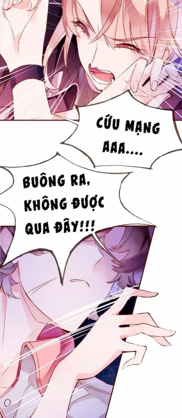 Hoa Hồng Trên Gai - Chương 5 - ảnh 6