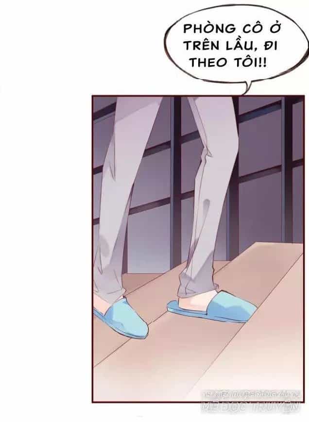 Hoa Hồng Trên Gai - Chương 6 - ảnh 4