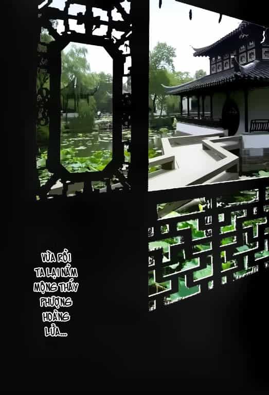 Hỏa Phụng Liêu Nguyên - Chương 1 - ảnh 39