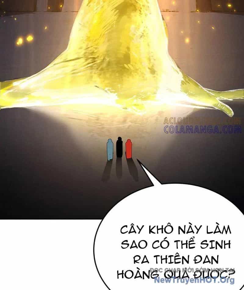 Hóa Ra Các Cô Ấy Mới Là Nhân Vật Chính - Chương 105 - ảnh 72