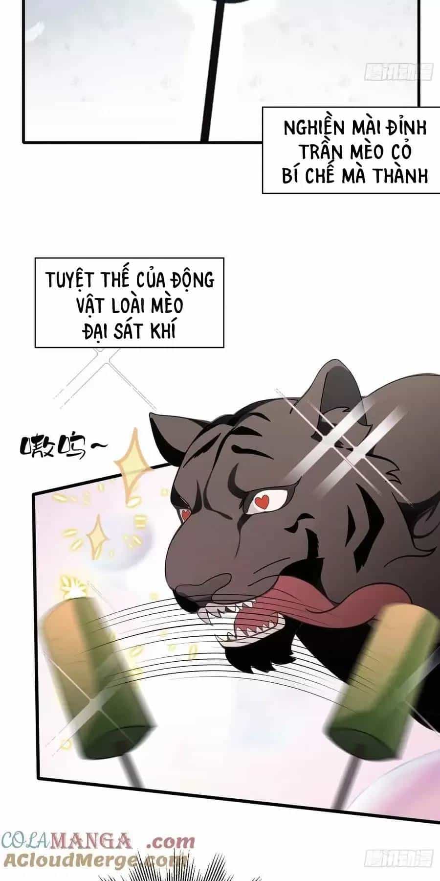Hoá Ra Ta Đã Vô Địch Từ Lâu - Chương 102 - ảnh 20