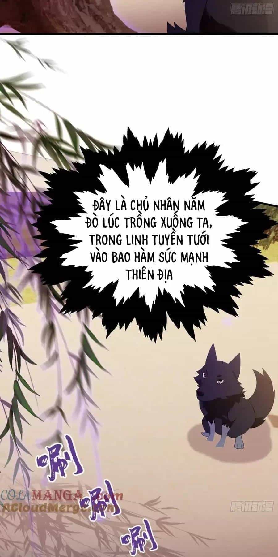 Hoá Ra Ta Đã Vô Địch Từ Lâu - Chương 105 - ảnh 8