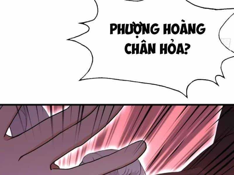 Hoá Ra Ta Đã Vô Địch Từ Lâu - Chương 158 - ảnh 66