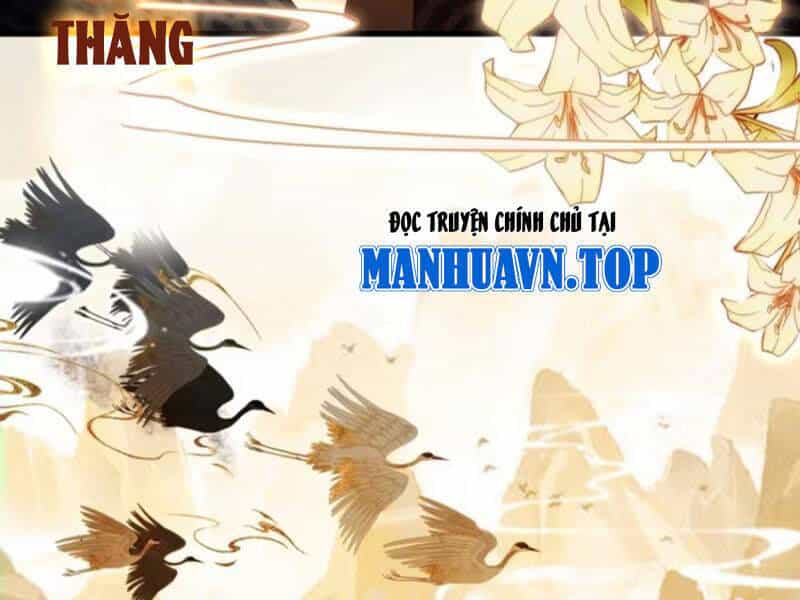 Hoá Ra Ta Đã Vô Địch Từ Lâu - Chương 162 - ảnh 30