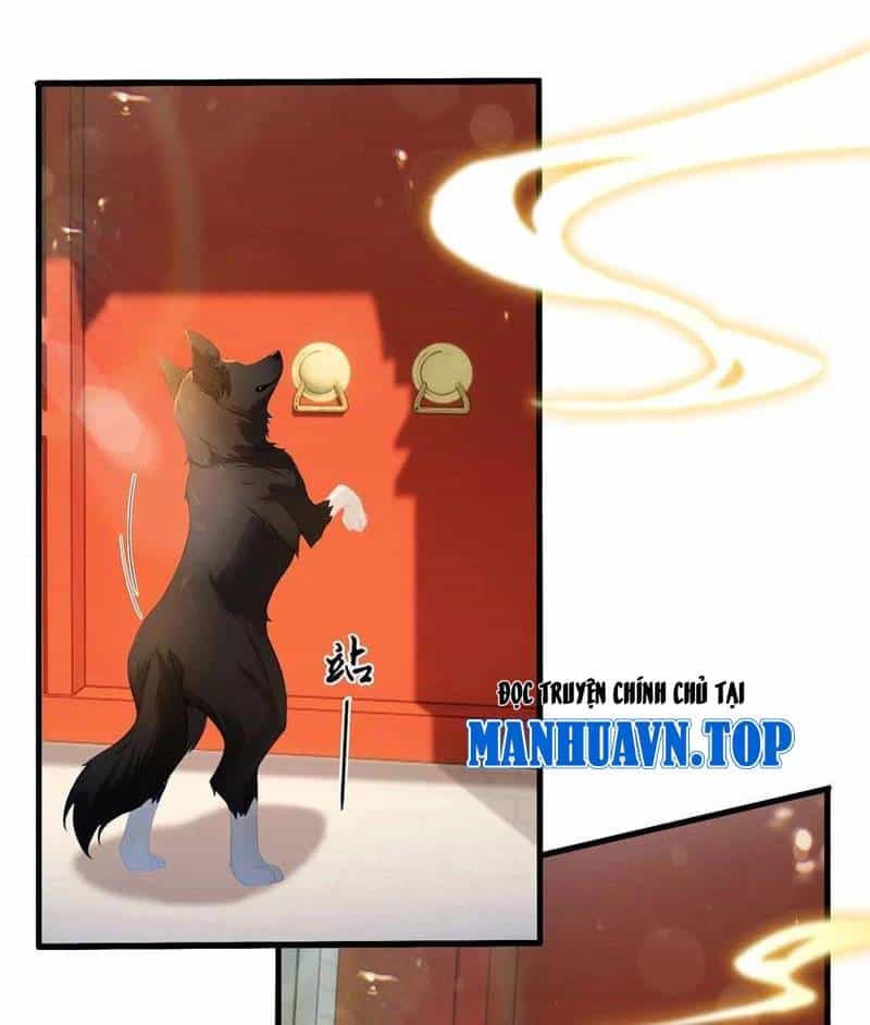 Hoá Ra Ta Đã Vô Địch Từ Lâu - Chương 179 - ảnh 14