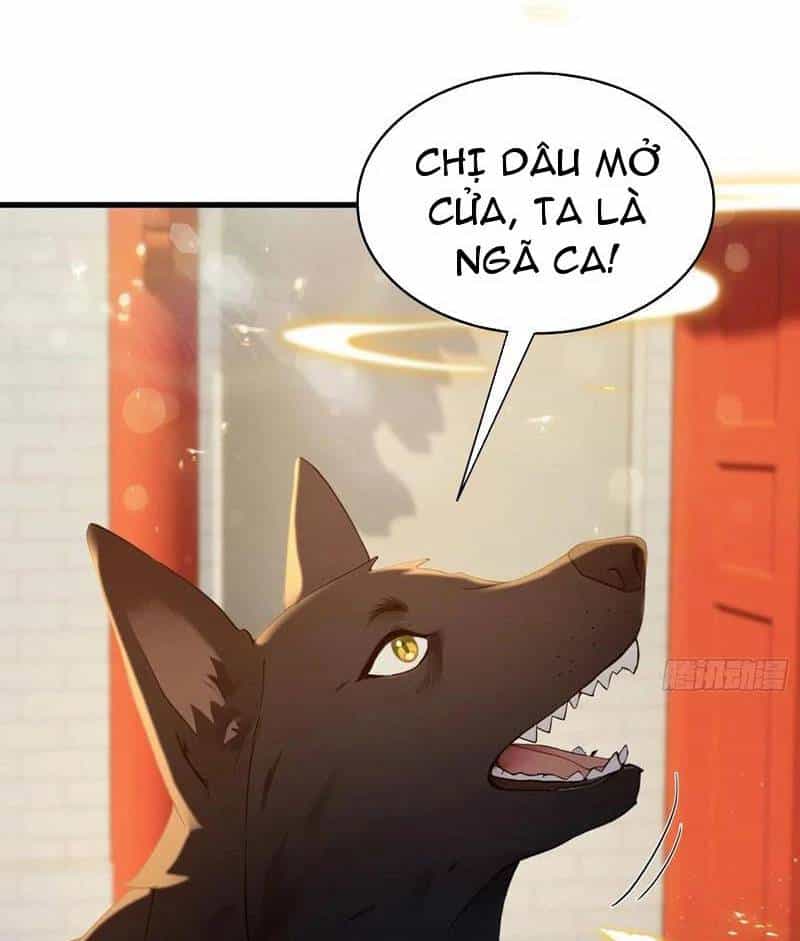 Hoá Ra Ta Đã Vô Địch Từ Lâu - Chương 179 - ảnh 16