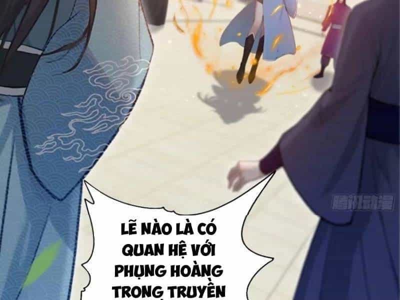 Hoá Ra Ta Đã Vô Địch Từ Lâu - Chương 185 - ảnh 11