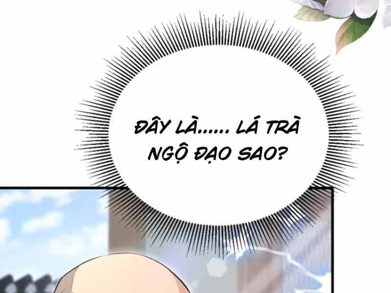 Hoá Ra Ta Đã Vô Địch Từ Lâu - Chương 204 - ảnh 60