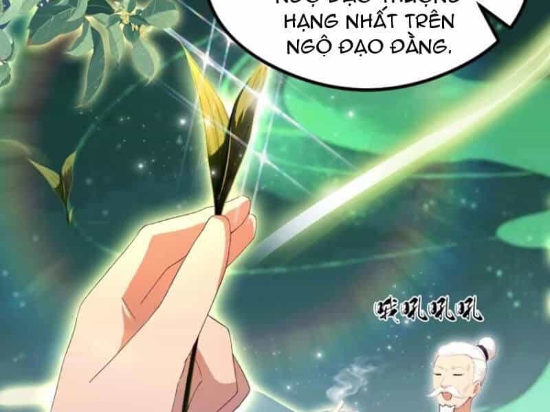 Hoá Ra Ta Đã Vô Địch Từ Lâu - Chương 204 - ảnh 64