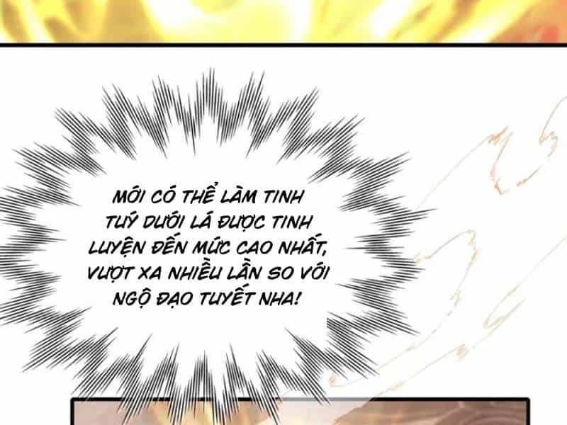Hoá Ra Ta Đã Vô Địch Từ Lâu - Chương 205 - ảnh 26