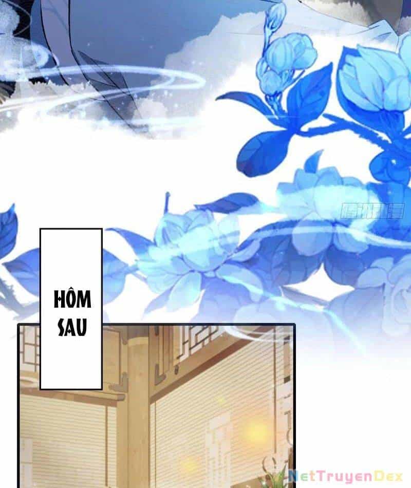 Hoá Ra Ta Đã Vô Địch Từ Lâu - Chương 224 - ảnh 47