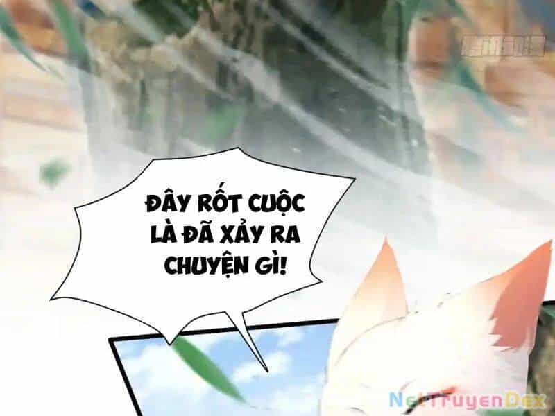 Hoá Ra Ta Đã Vô Địch Từ Lâu - Chương 225 - ảnh 39