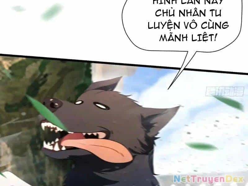 Hoá Ra Ta Đã Vô Địch Từ Lâu - Chương 225 - ảnh 41